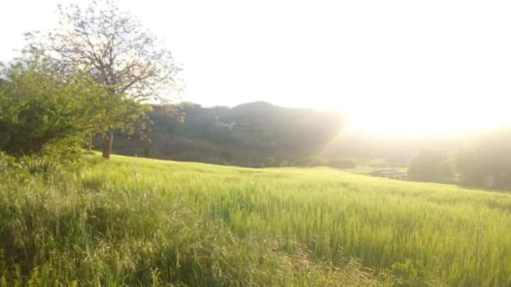 Casa Vacanze Campo D'Arco Nocera Umbra Buitenkant foto